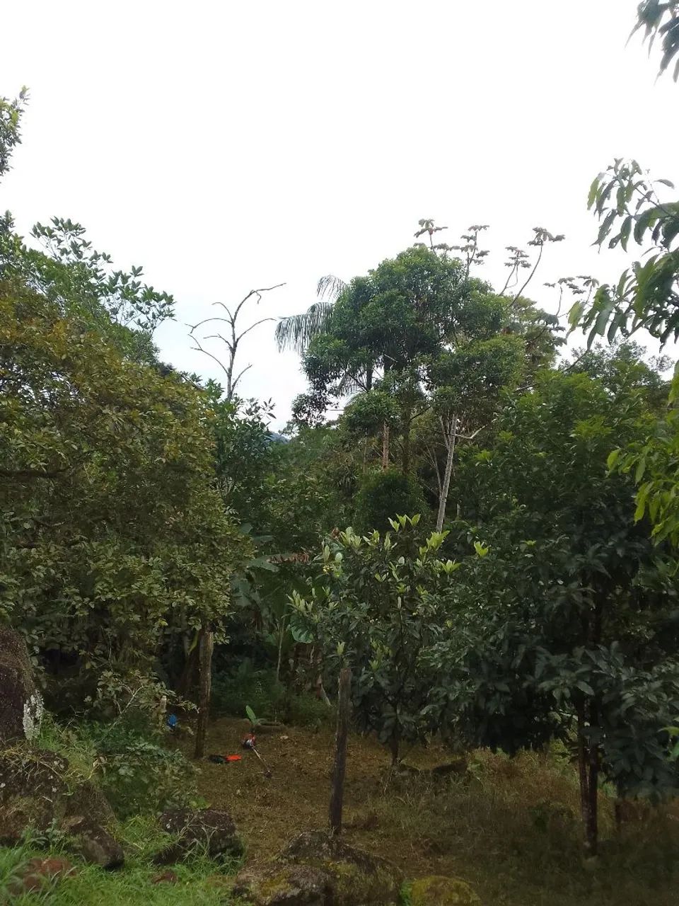 Terreno em Morretes  - Foto 3