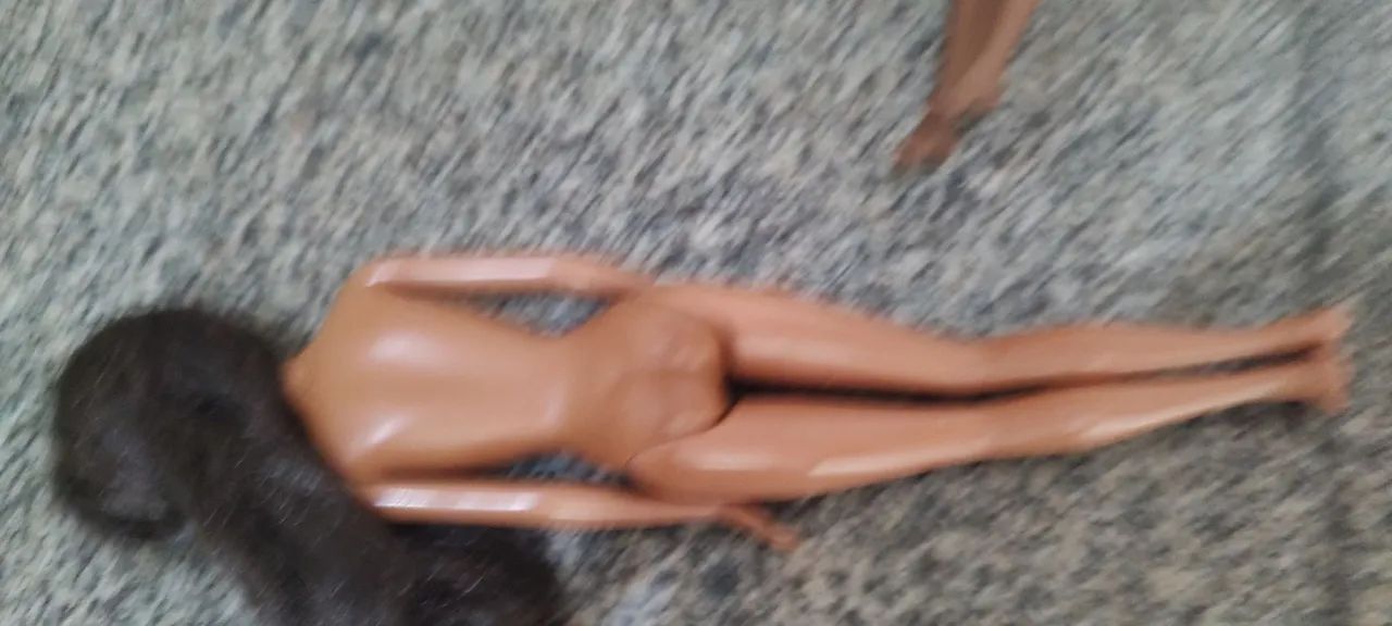 Barbie morena  - Foto 2