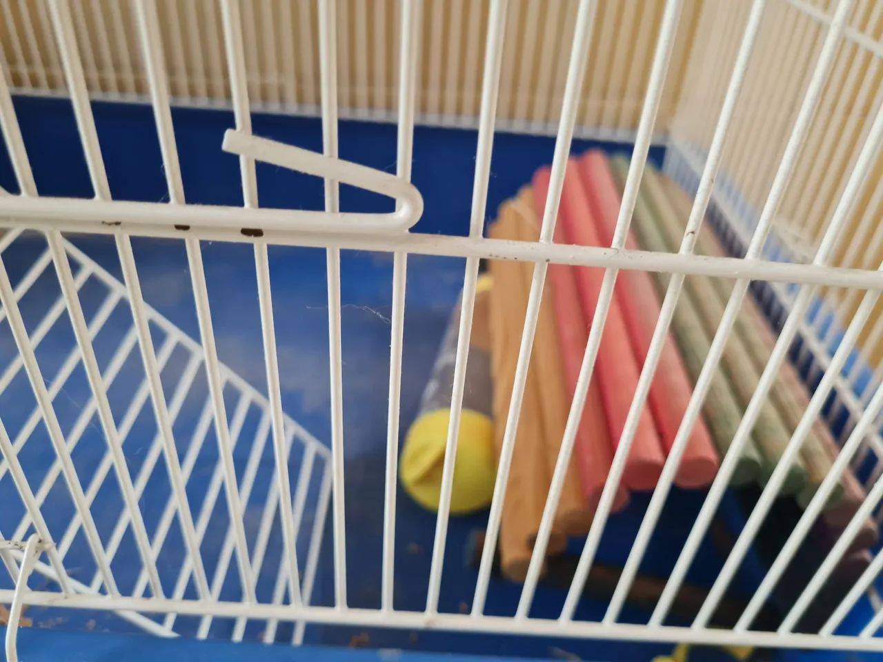 Gaiola hamster  - Foto 4