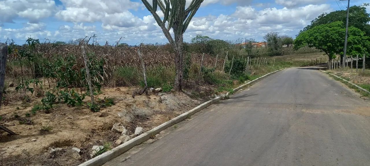 Chácara, Povoado Lagoa dos Porcos. - Foto 2