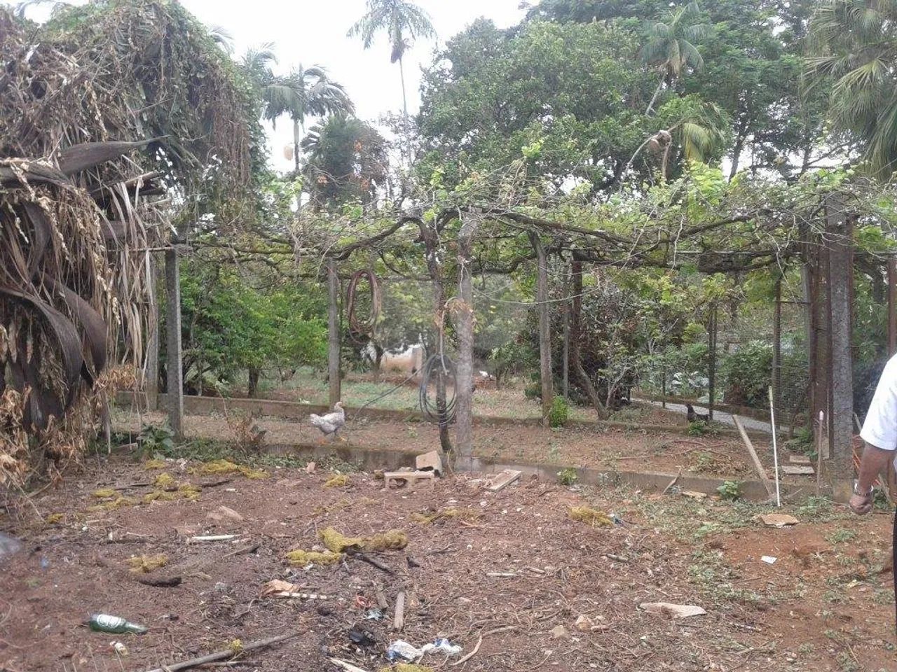 Terreno à venda em Horto florestal - SP