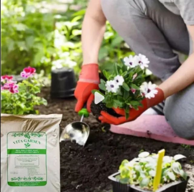 terra adubada vita Garden saco com 15kg,5kg e 2kg terra vegetal rica em nutrientes para o  - Foto 5