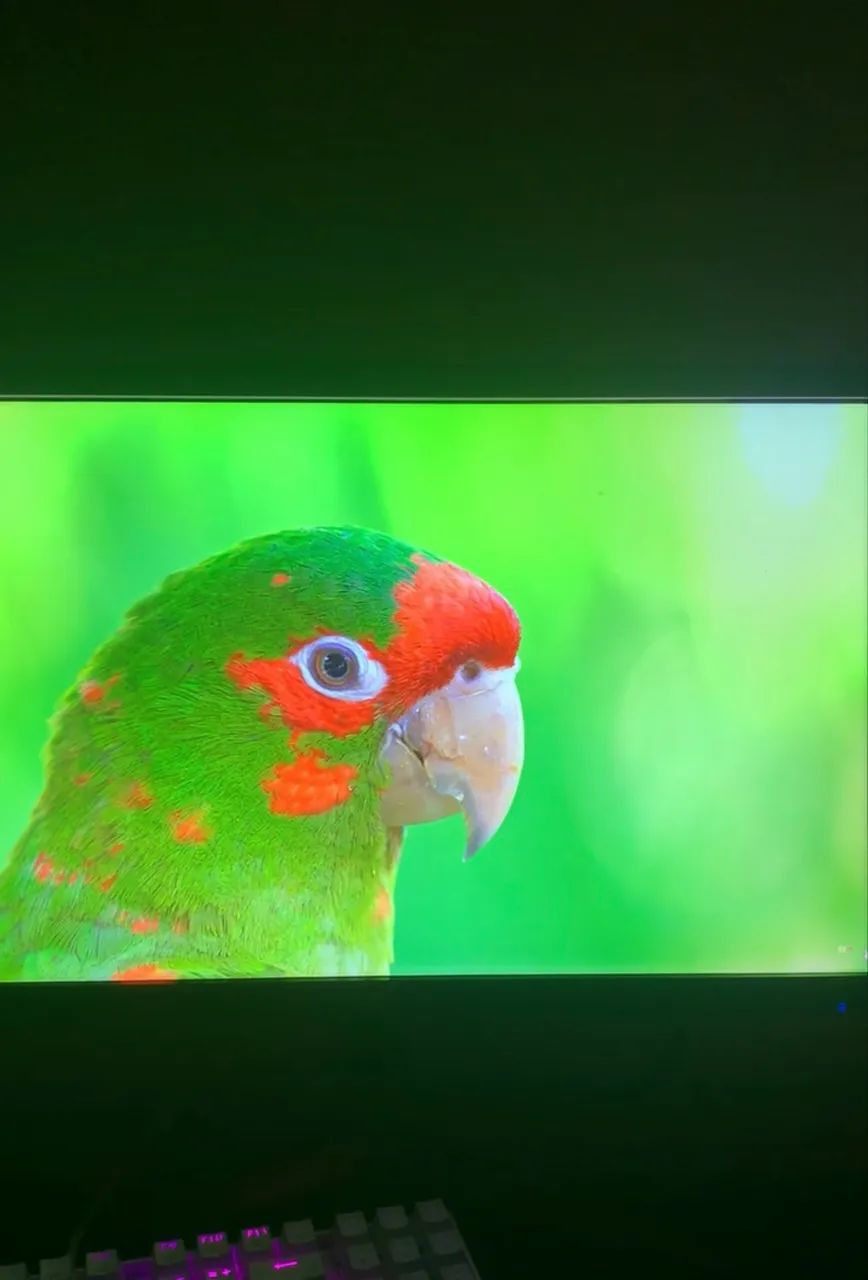 Monitor Acer 165hz 0.5ms 