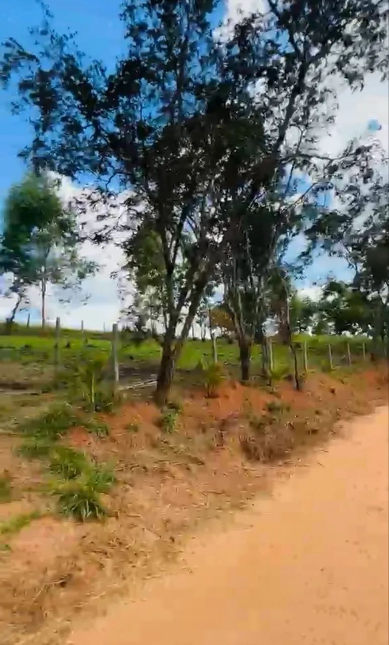 Terreno a venda em Florestal MG