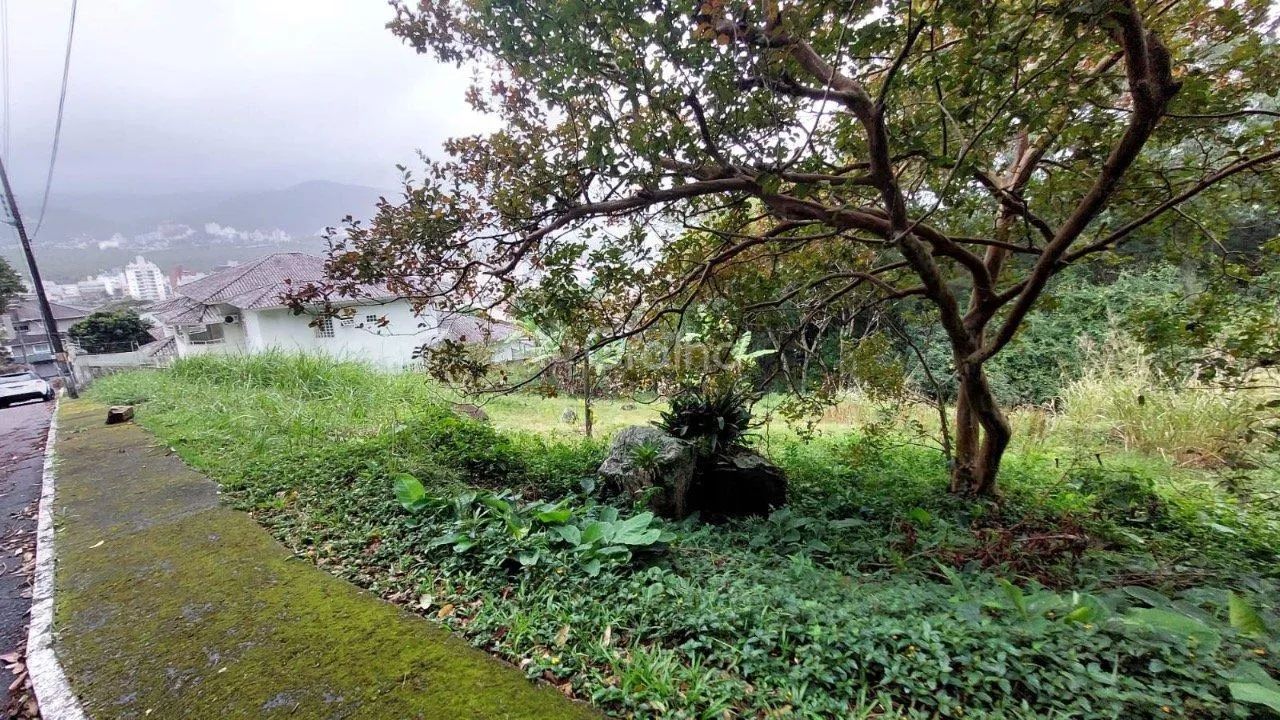 Terreno de 963m² na Trindade - Foto 5