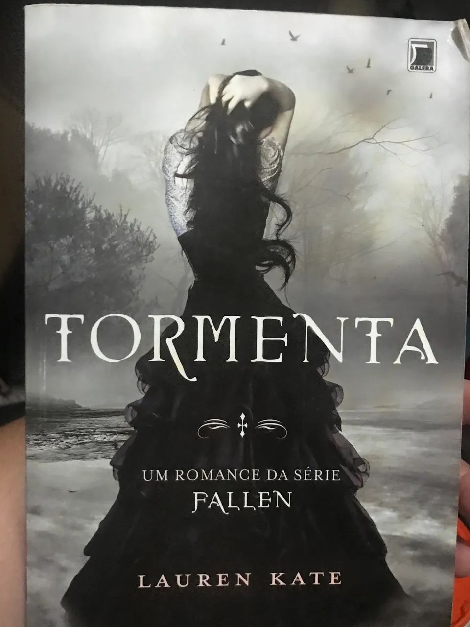 Livros Fallen, Tormenta e Paixão  - Foto 2