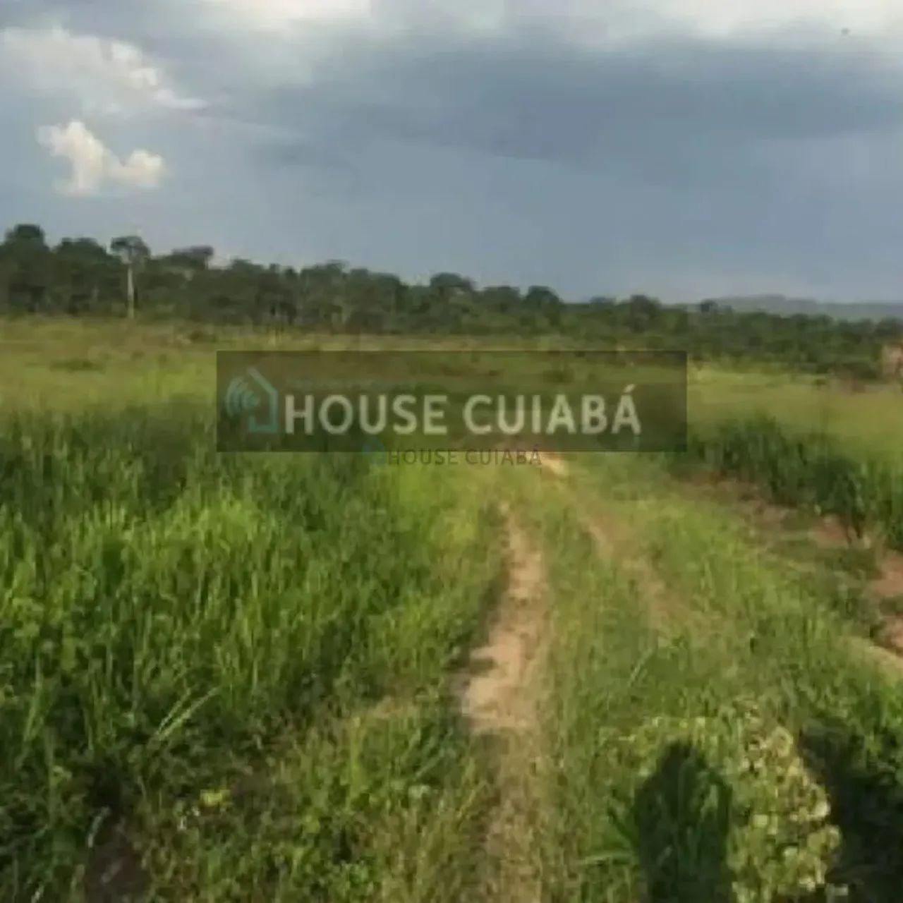 FAZENDA PARA VENDA NO PARÁ - Foto 4