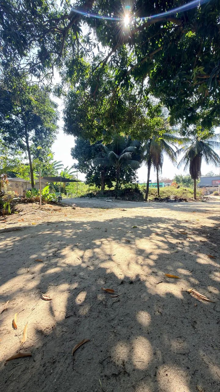 Vendo sitio Campo Grande moinho  - Foto 5