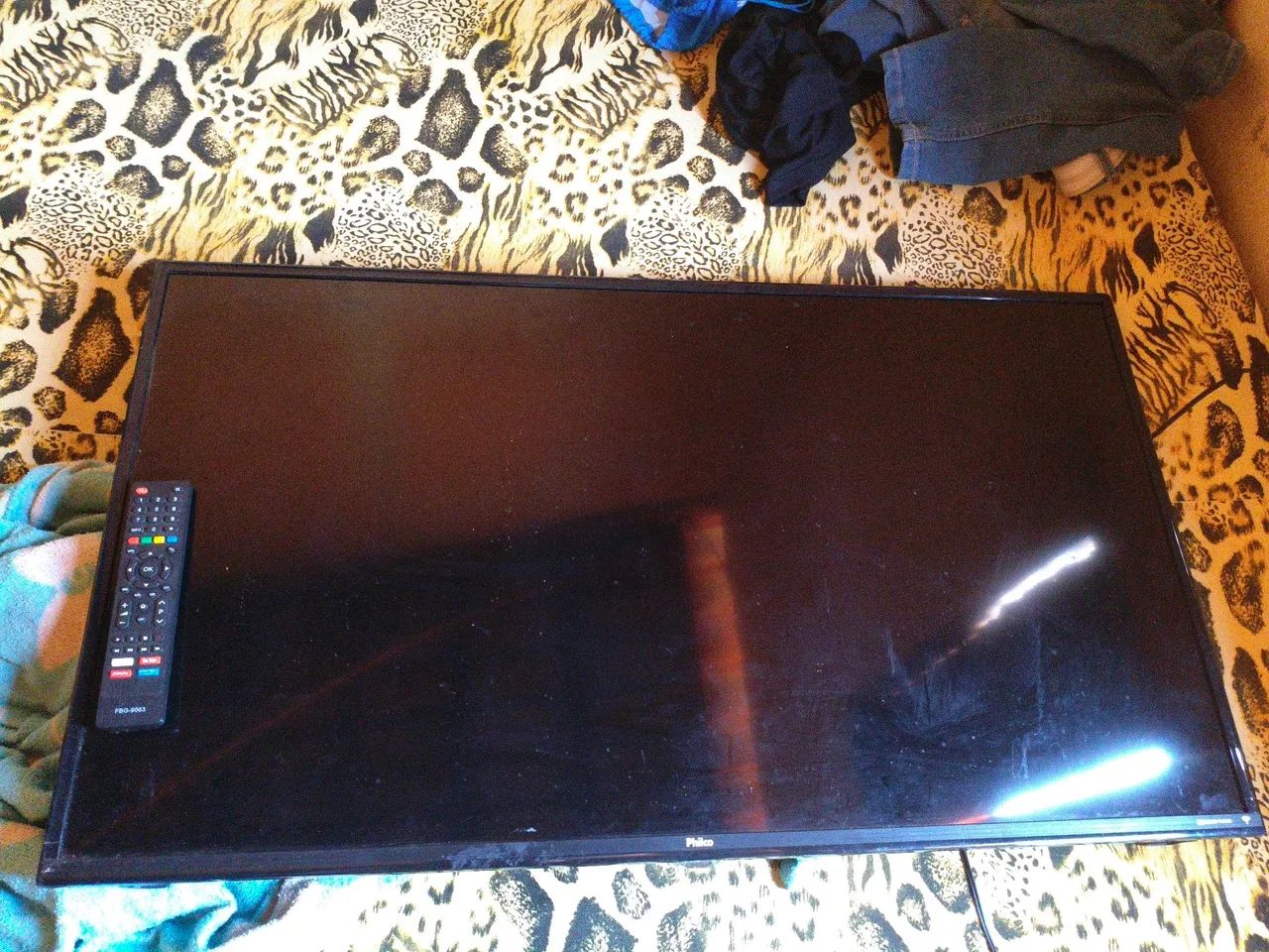 Vendo uma TV Philco completa sem defeito 