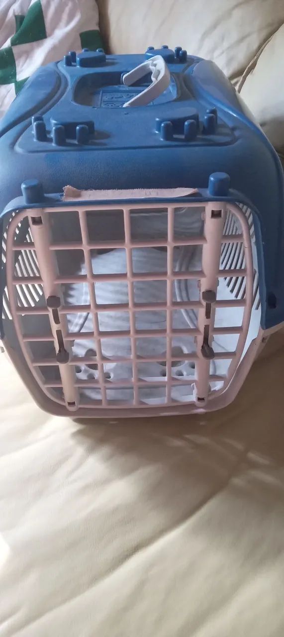 Caixa de transporte de pets  - Foto 2