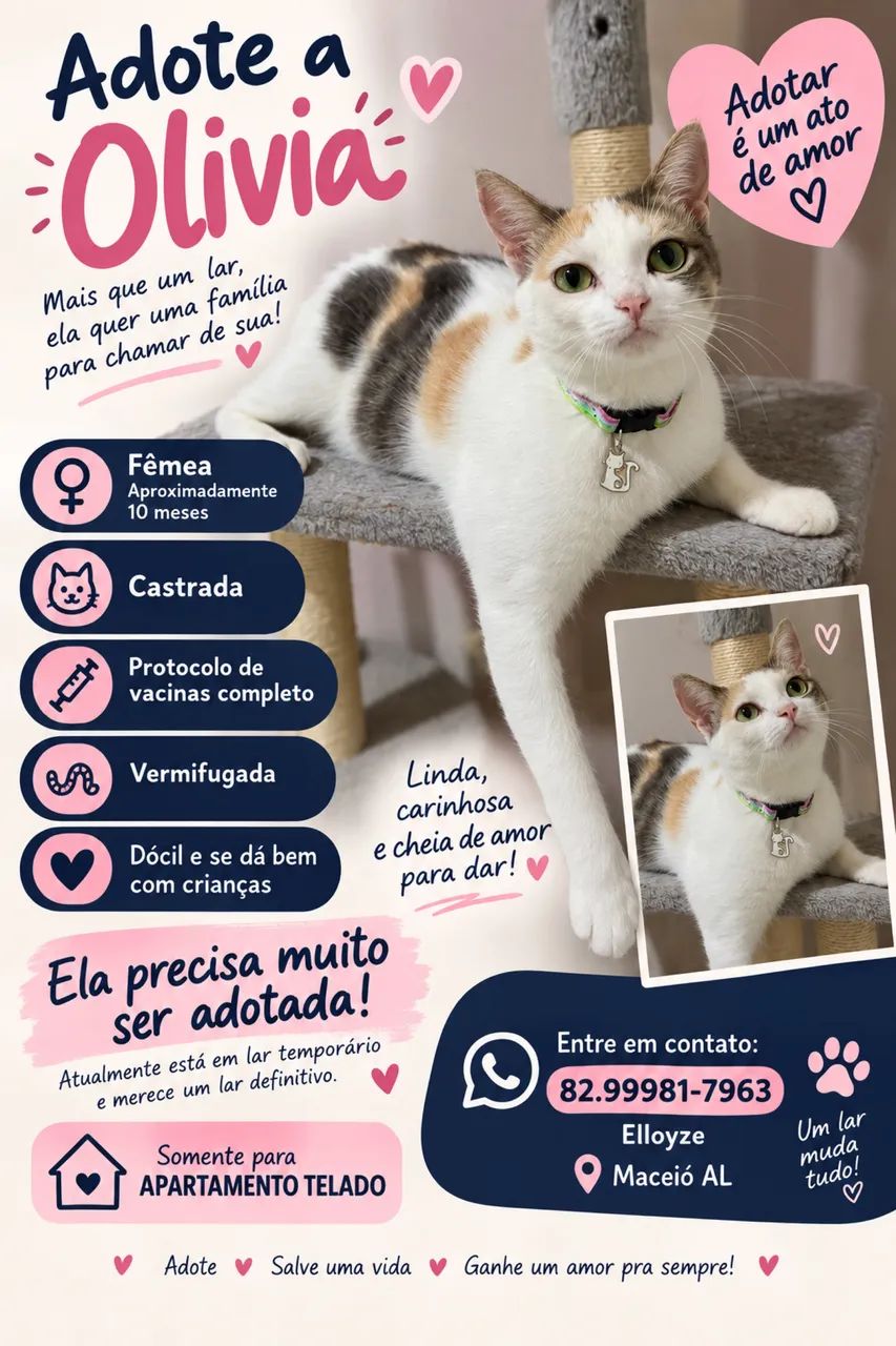 Adoção Responsável 