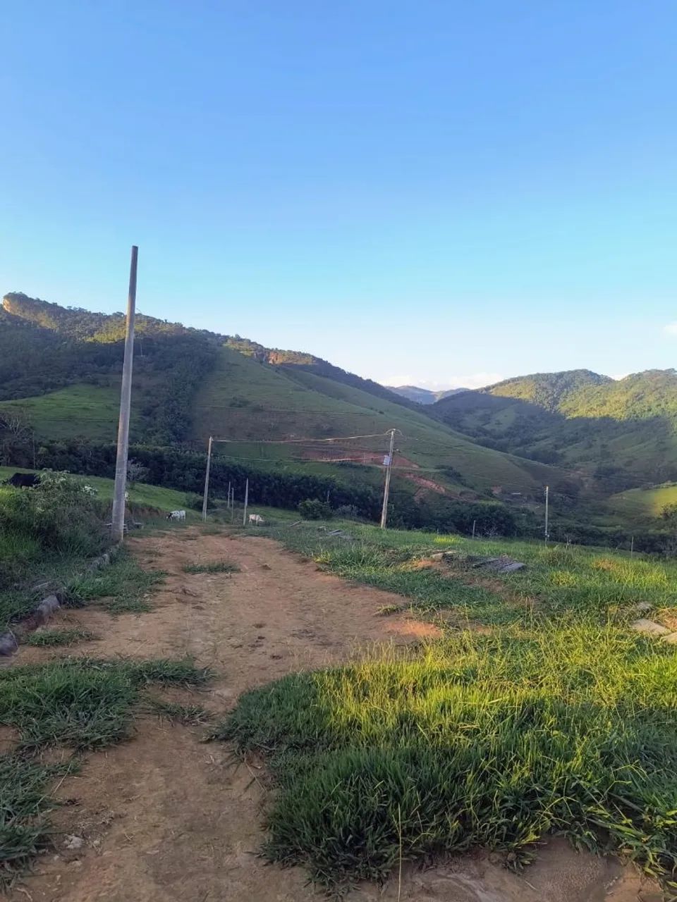 Terreno ( Em Ubá) - Foto 3