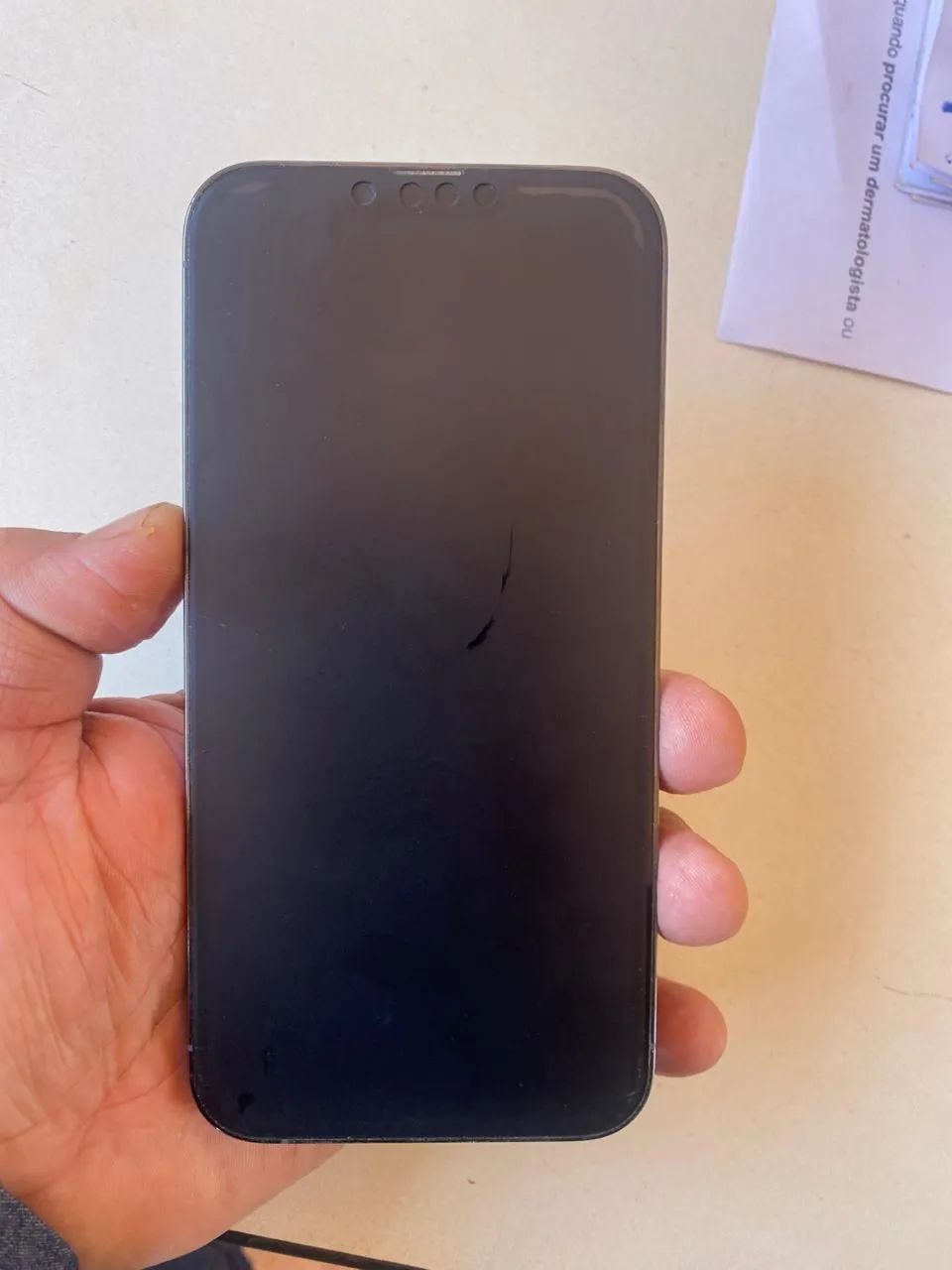 iPhone 13 Pro Max 256