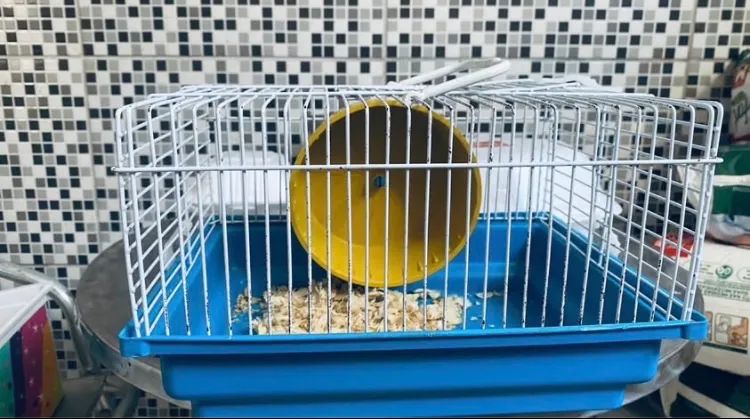 Transportadora para hamster 