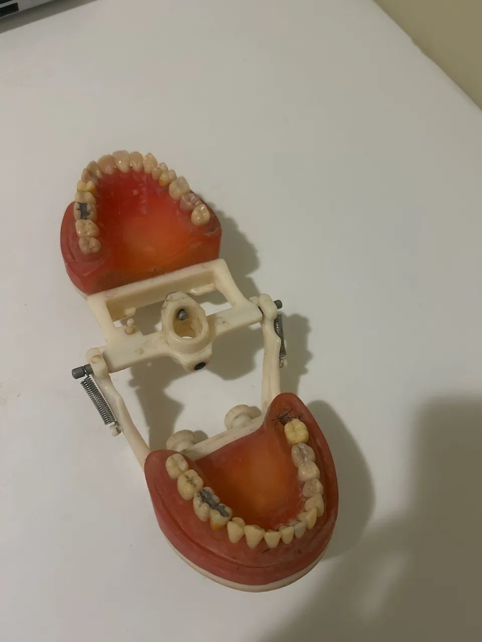 Manequim Odontológico  - Foto 2