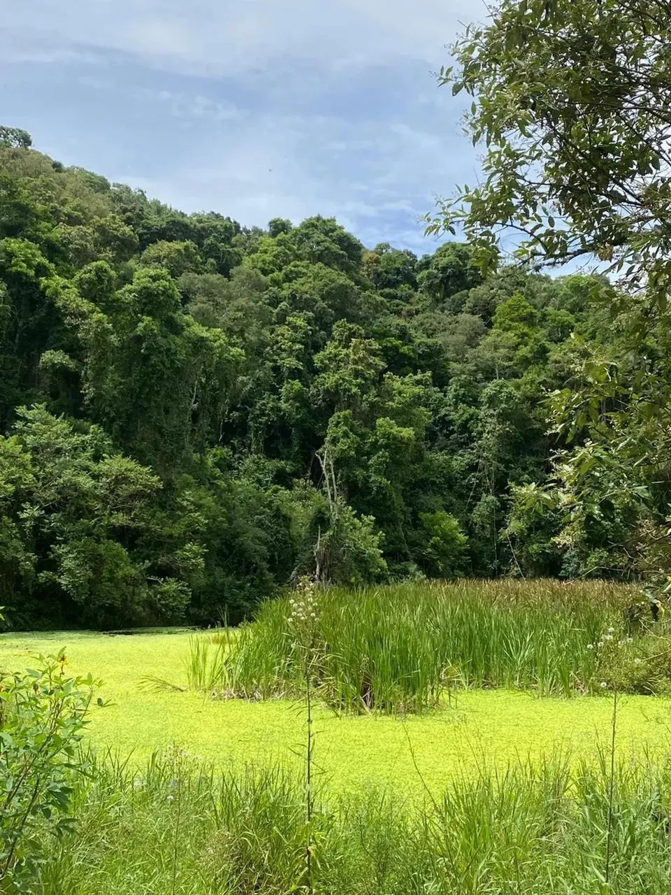 Pré-lançamento em região de crescimento acelerado