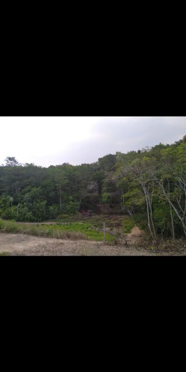 Vendo sítio ramal Bijudeu 17KM cidade. - Foto 4