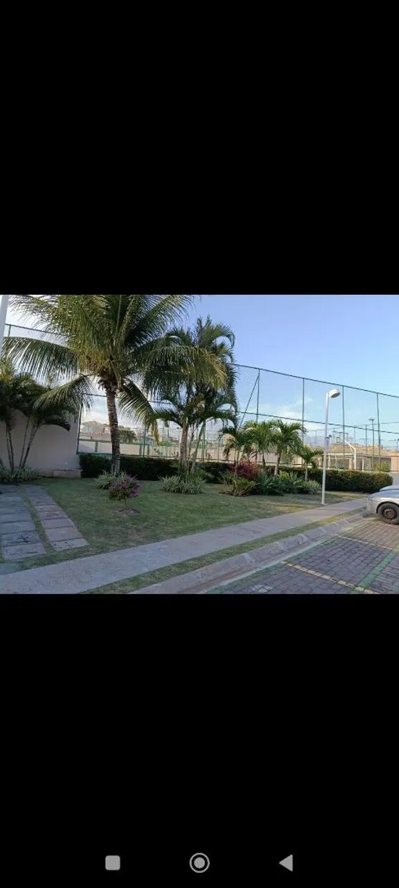 Jardinagem roçagem  - Foto 5
