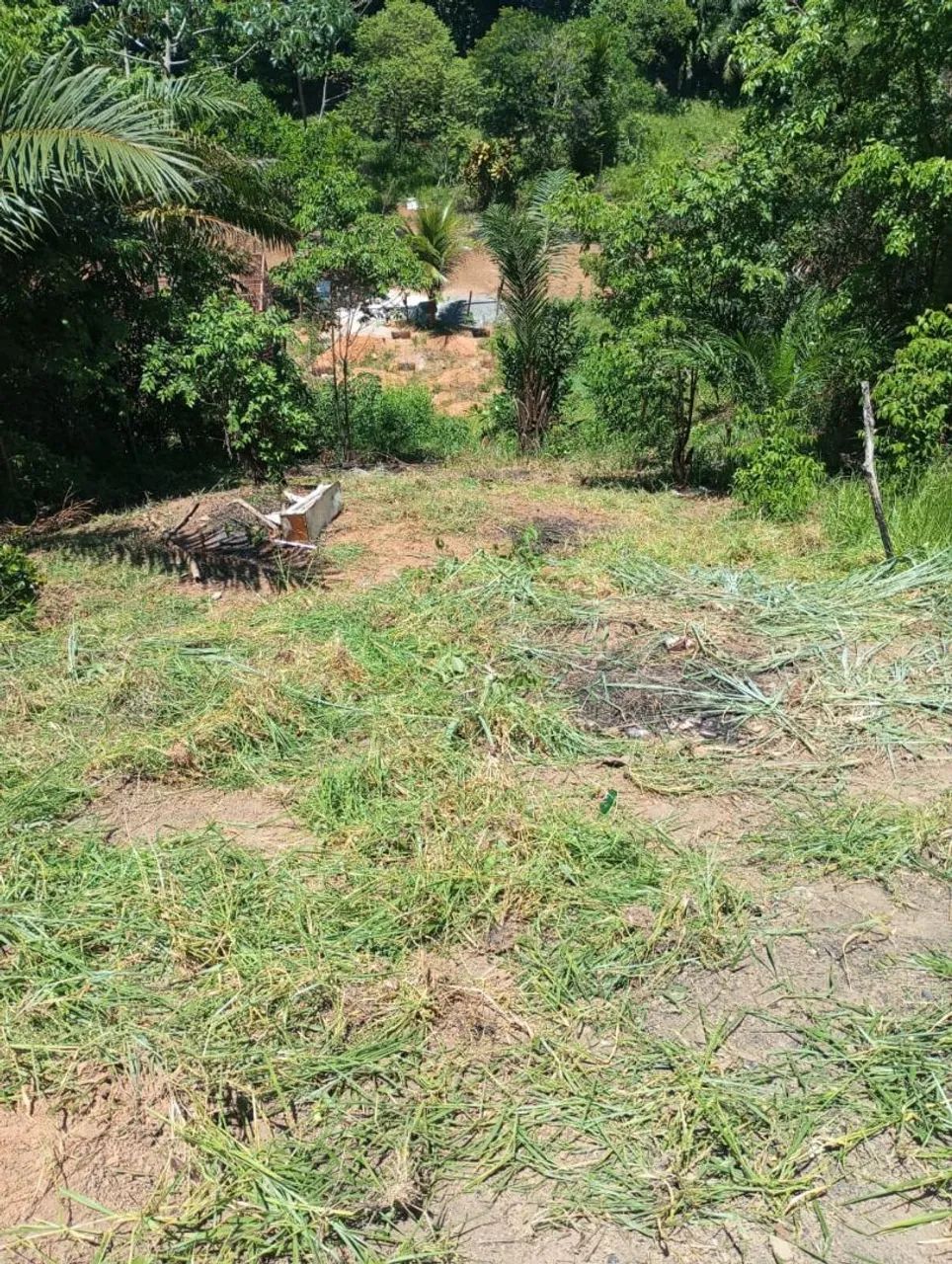 Terreno  - Foto 3