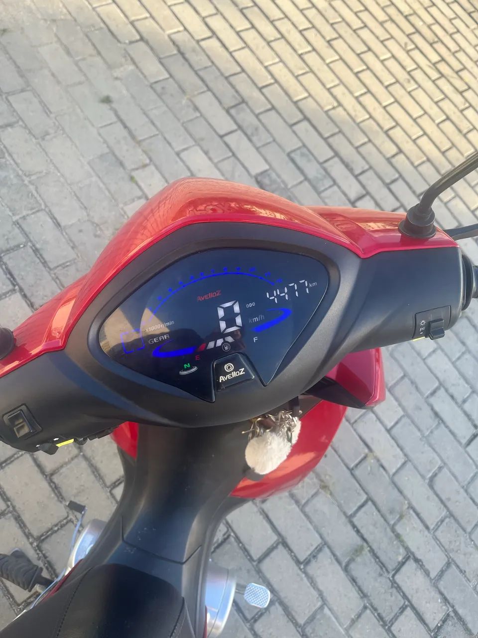 Avelloz 2025 - Foto 3