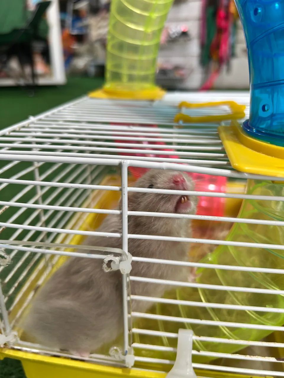 Gaiola com hamster  - Foto 4
