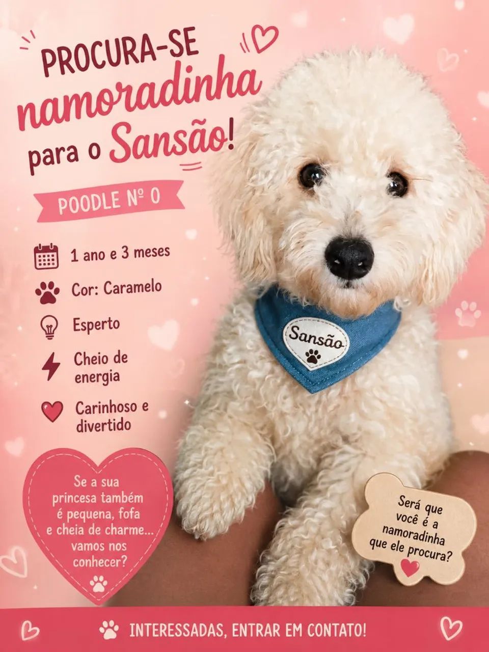 Em busca de uma namorada 