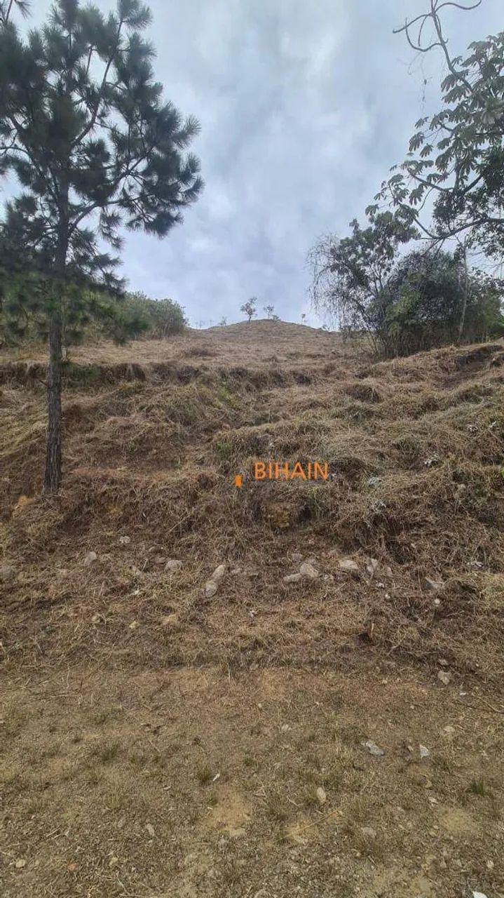 Terreno à venda, 1400 m² por R$ 1.470.000,00 - Vila d'El Rey - Nova Lima/MG - Foto 3