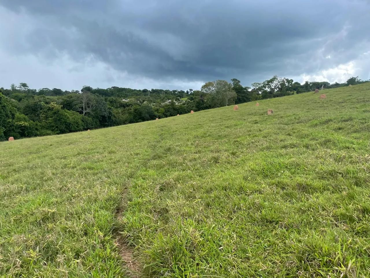 Sítio em Itaberai  - Foto 5