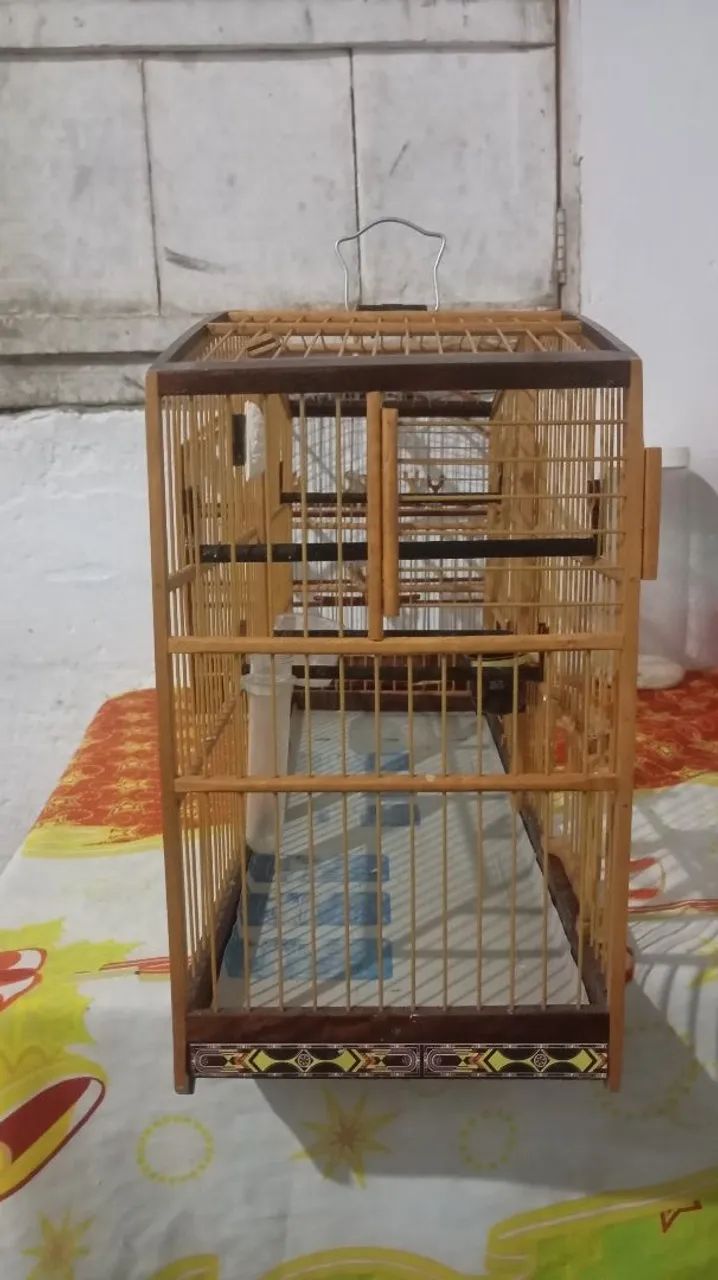 Voador top malha de papa capim  - Foto 4