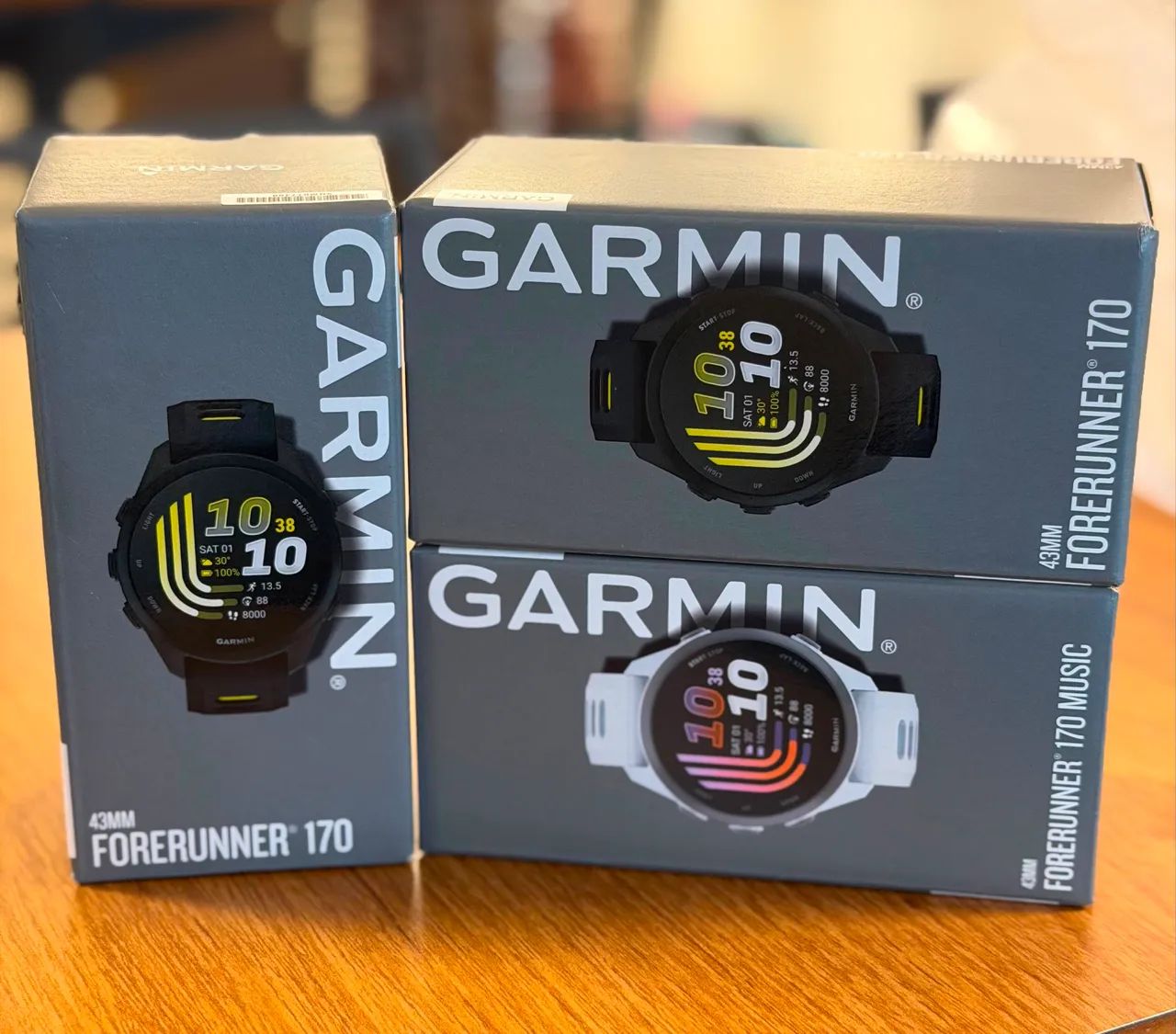 GARMIN FORERUNNER 170 BASIC E 170 MUSIC