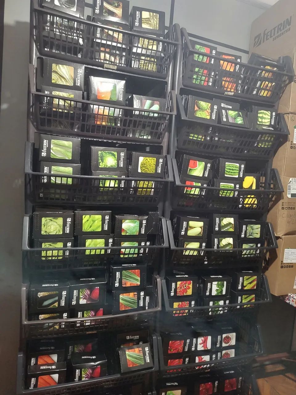 Distribuidora de sementes hortaliças 