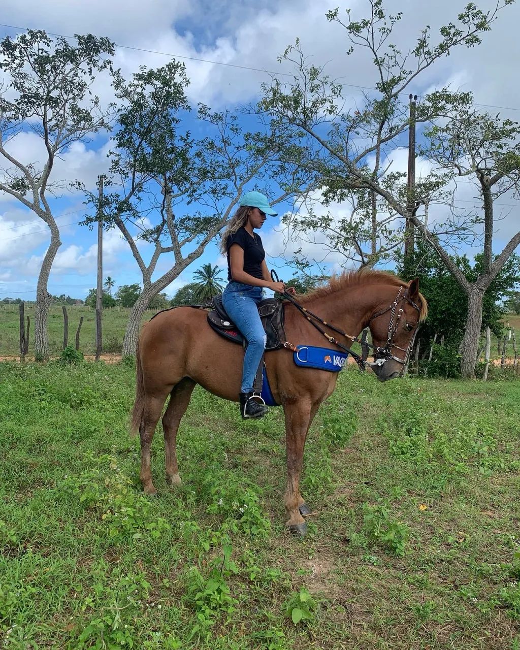 Cavalo machador, mestiço! - Foto 5