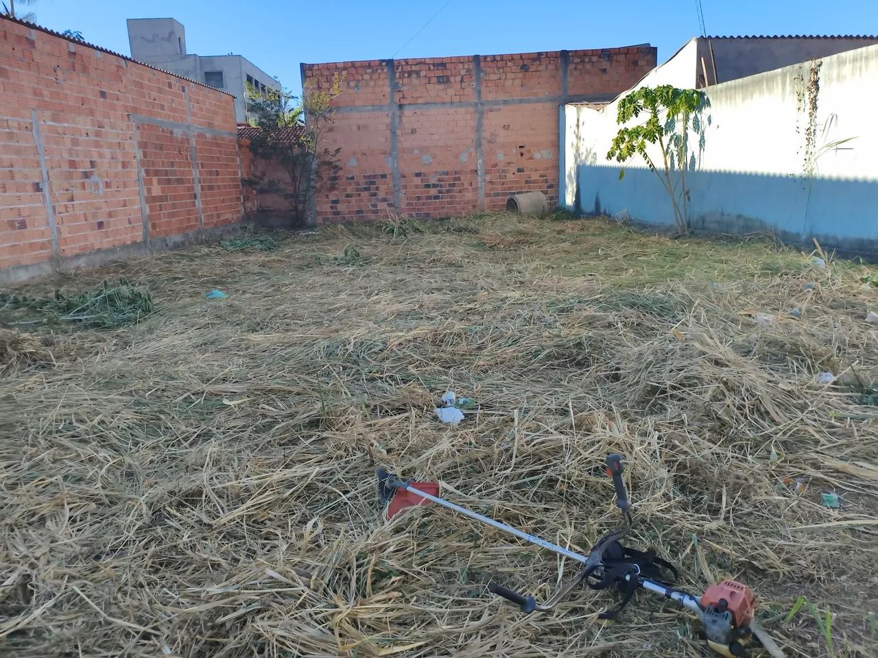 Lote