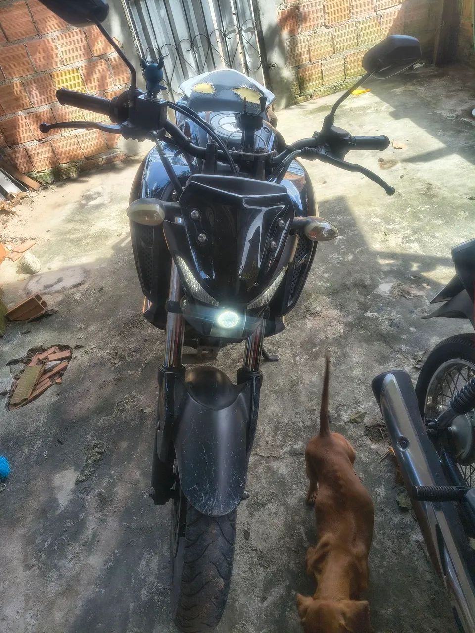 Fz15