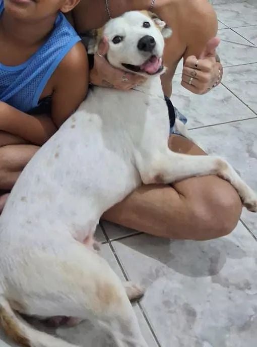 Doação.  - Foto 2