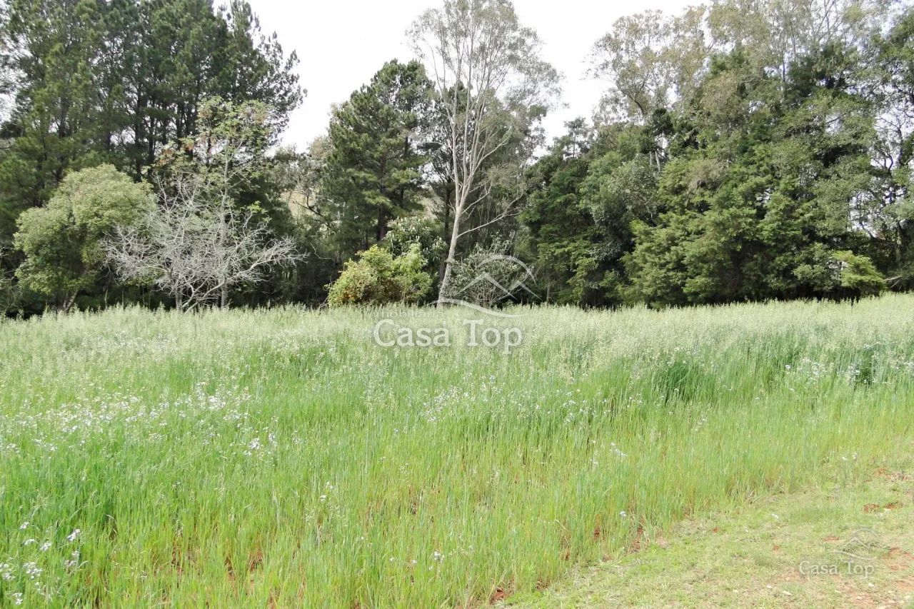 Terreno à venda Cinto Verde - Uvaranas - Foto 4