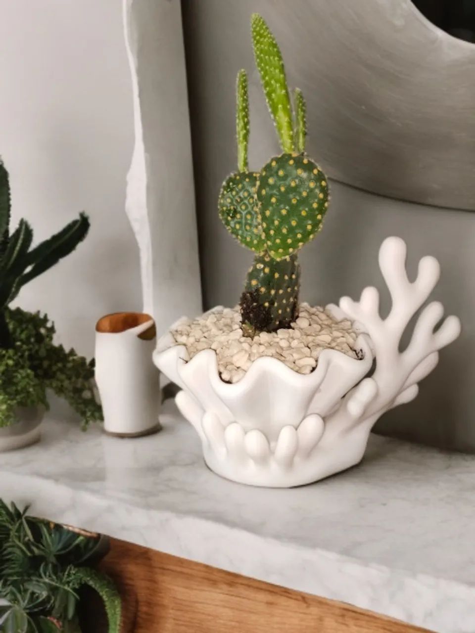 Vaso para Suculenta