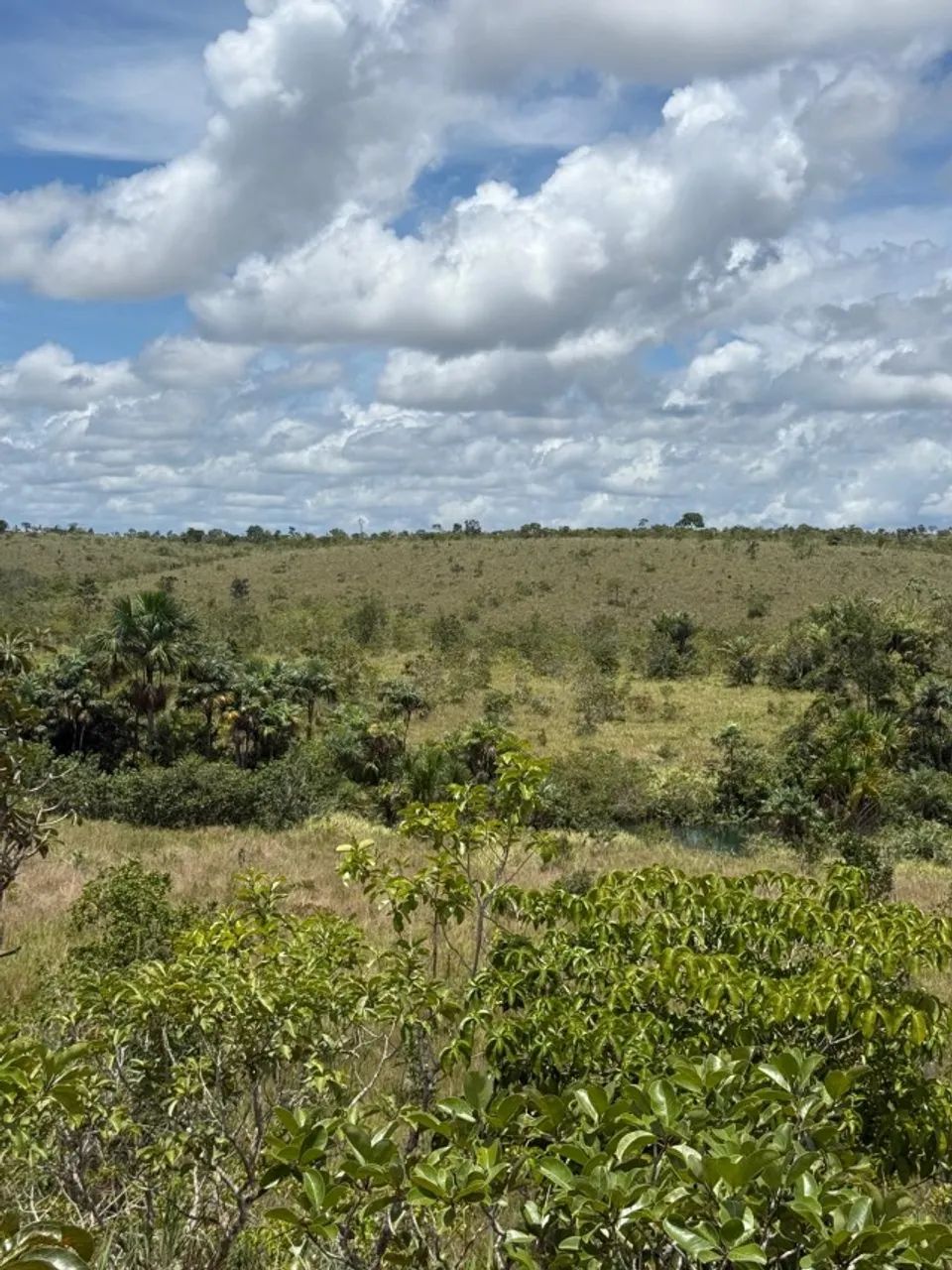 Vendo Sítio á 35 km de Santana na localidade Maçaranduba II - Foto 11