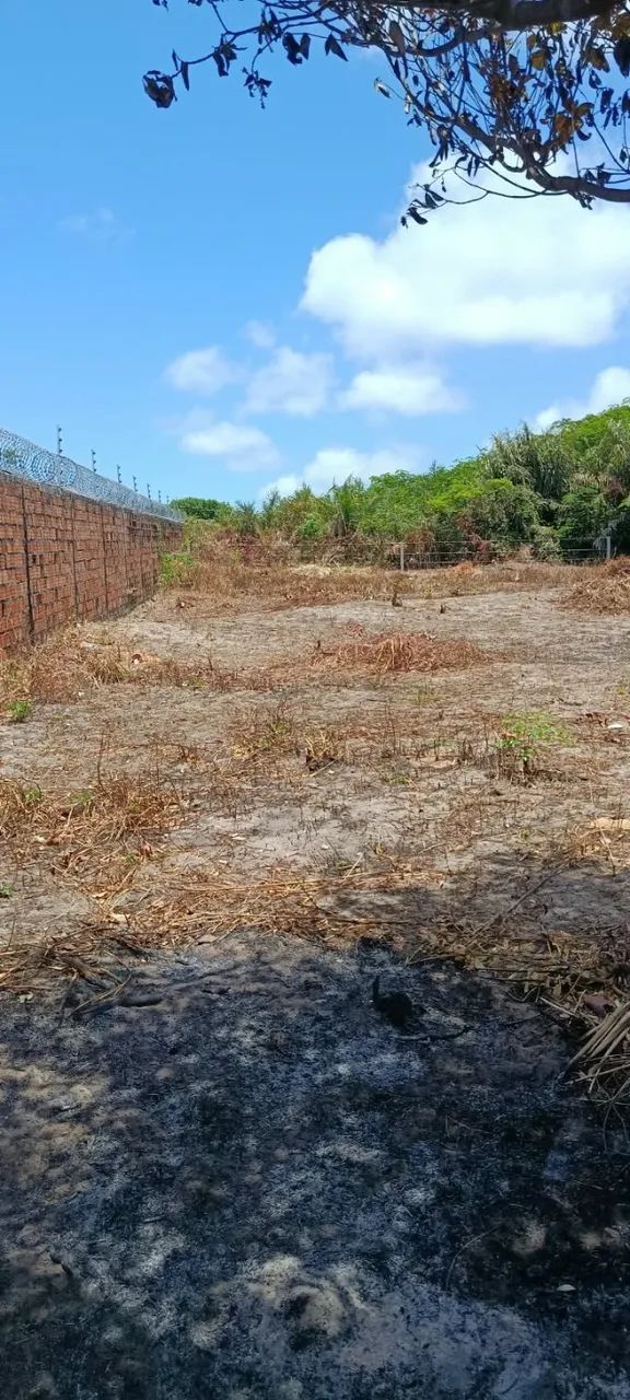 VENDO LINDO TERRENO EM SALINAS. - Foto 5