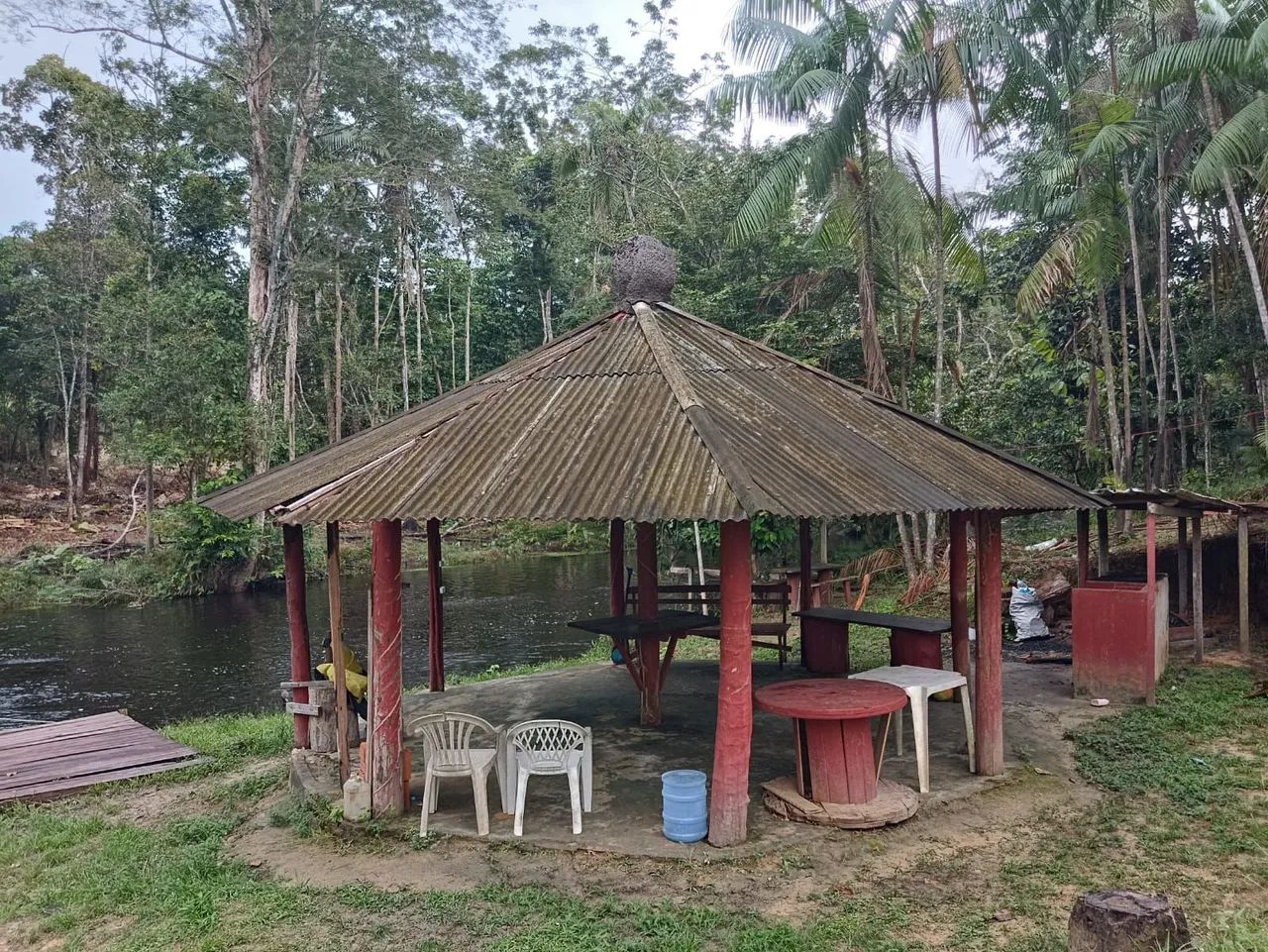 Sítio com 28 hectares em Pres. Figueiredo  - Foto 4