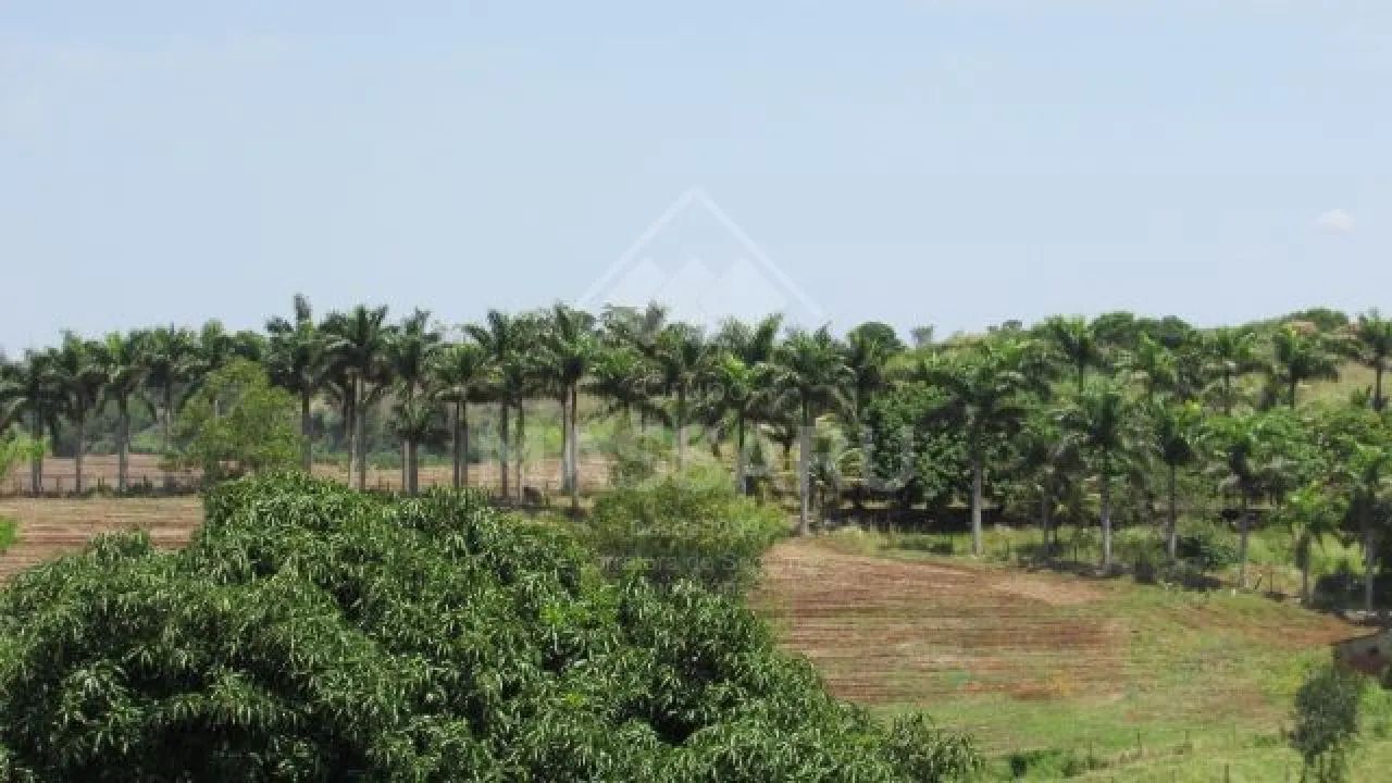 OPORTUNIDADE DE INVESTIR EM PROPRIEDADE RURAL - Foto 4