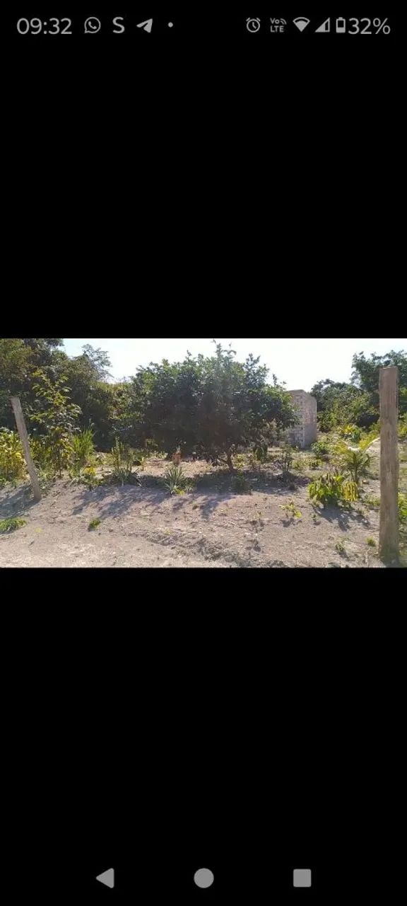 TERRENO GRANDE - Foto 2