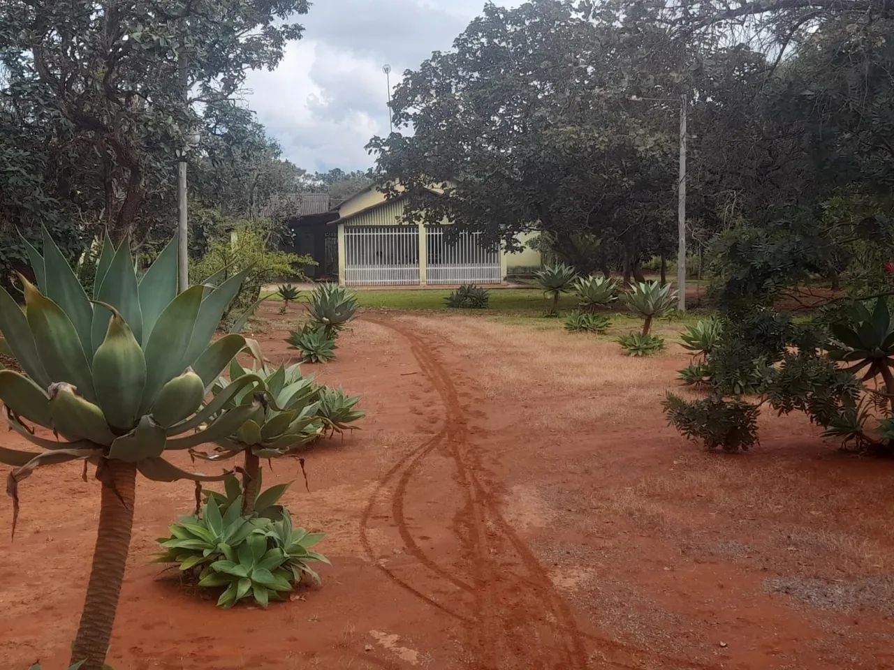 Chácara sítio escriturada  Planaltina DF Morumbi  - Foto 3