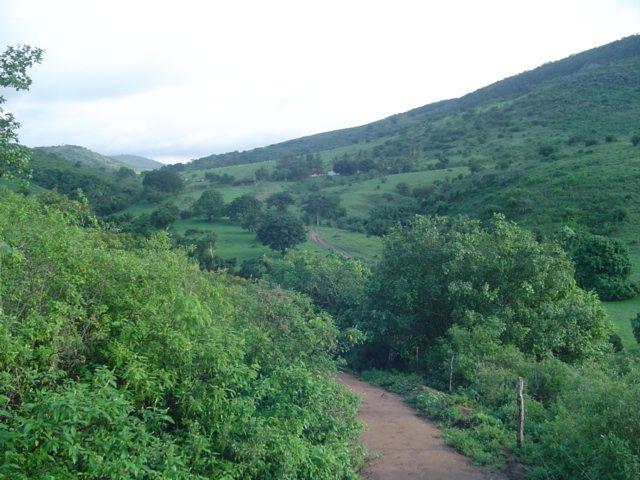 Vale Jiquiriçá-Fazenda - 800 Tarefas, analisa troca p\imóvel em Salvador - Foto 20
