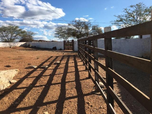 Ótima propriedade de 377 hectares,em Jataúba-PE, por apenas R$ 650 mil - Foto 4