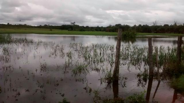 Linda Fazenda no estado de Tocantins - Foto 10
