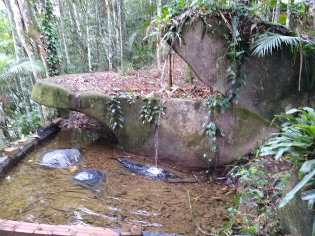 Chácara em morretes - Foto 7