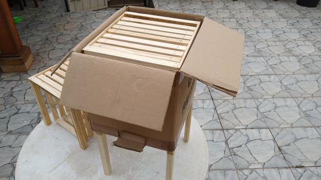 Caixa isca para captura de abelhas com ferrão - Foto 3