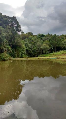 Chácara em Araucária - Foto 13
