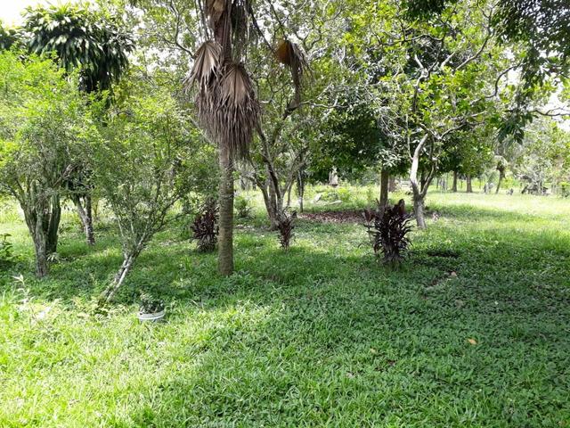 Vende-se ou troca-se por caminhonete!!! - Foto 3